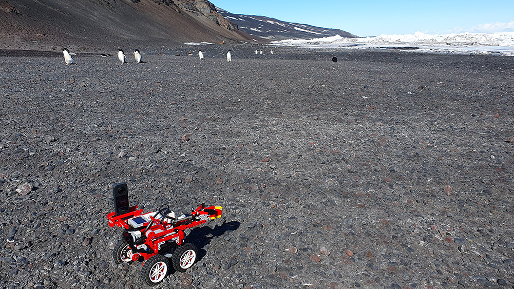 A small red robotic vehicle on a rocky, barren landscape approaches a group of penguins in the distance, with an icy coastline under a clear blue sky.