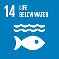 GCP SDG Goal 14