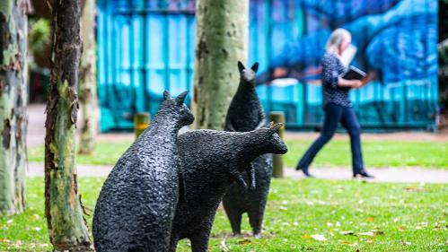 Black statutes of Kangaroos on grass. A fence, tree stub and wall are in the background as well as a person walking past.