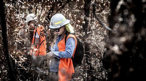 UOW academics stand in burnt out bush