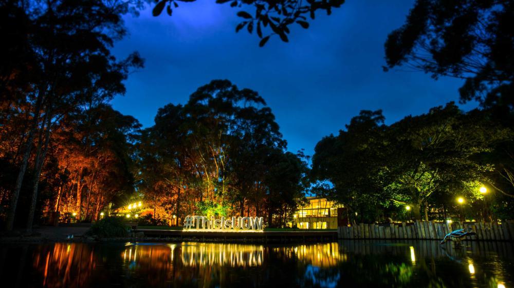 Wollongong Campus at night, duck pond lawn at night