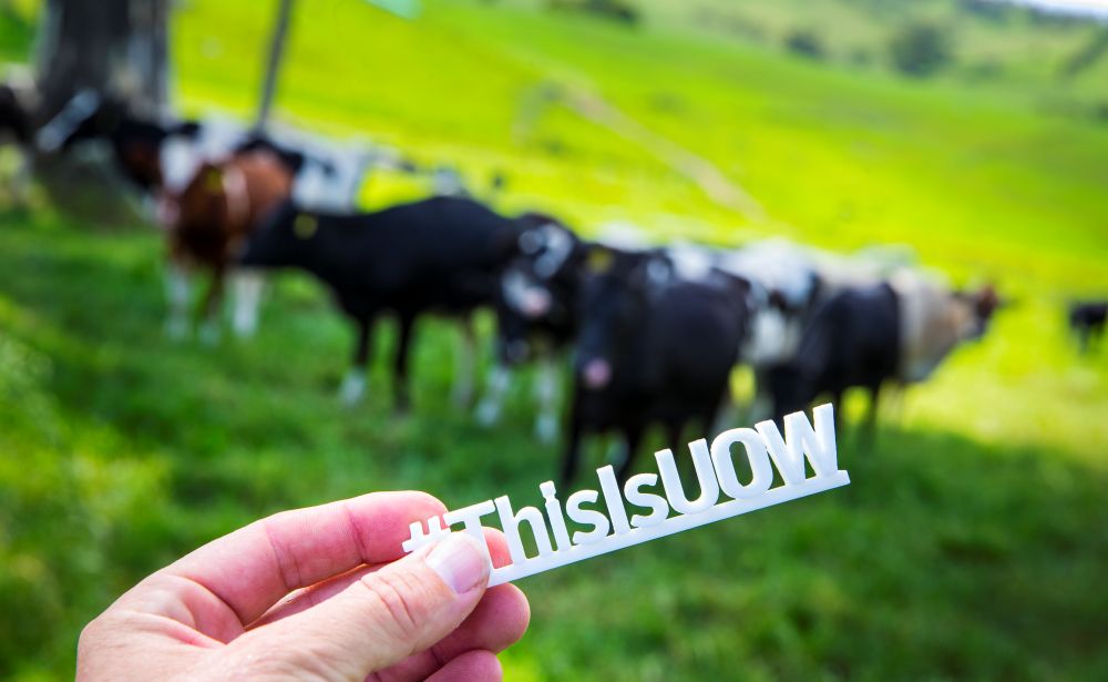 This is UOW 3D printed ornament is being held infront of camera, in teh background are some cows on a farm