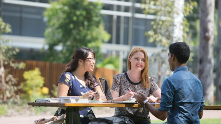 Group of student studying outside