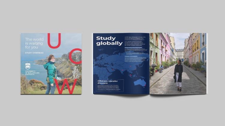 Study overseas course guide