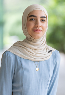 used for in-text image