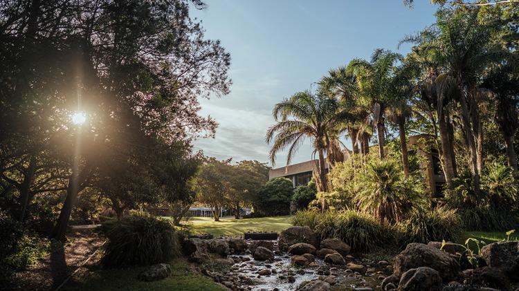 McKinnon Lawn UOW ý campus