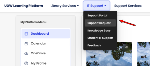 Moodle page- screenshot support