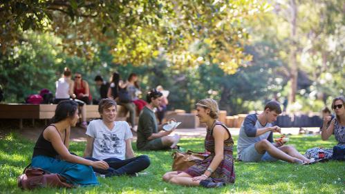 Individuals and groups  of people are sitting outside on grass with the sun shinning through trees around them.