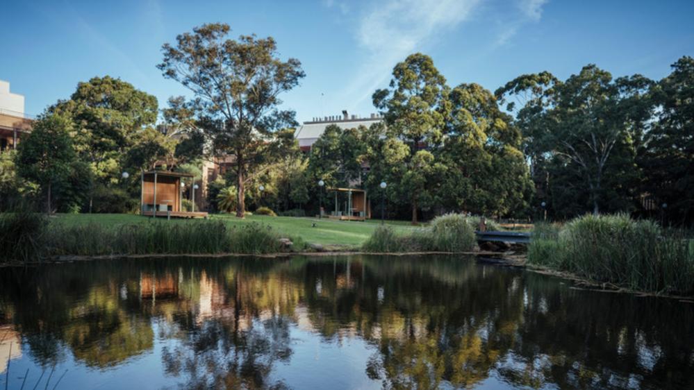 View overlooking pond UOW Campus