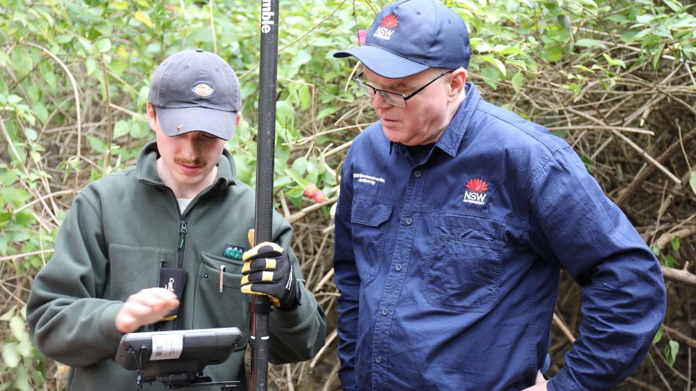 Two men look down at a camera while filming in the bush. Photo: Rachel Pagitz – NSW Reconstruction Authority