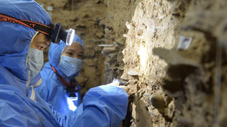 Sediment DNA sample collecting in Baishiya Karst Cave