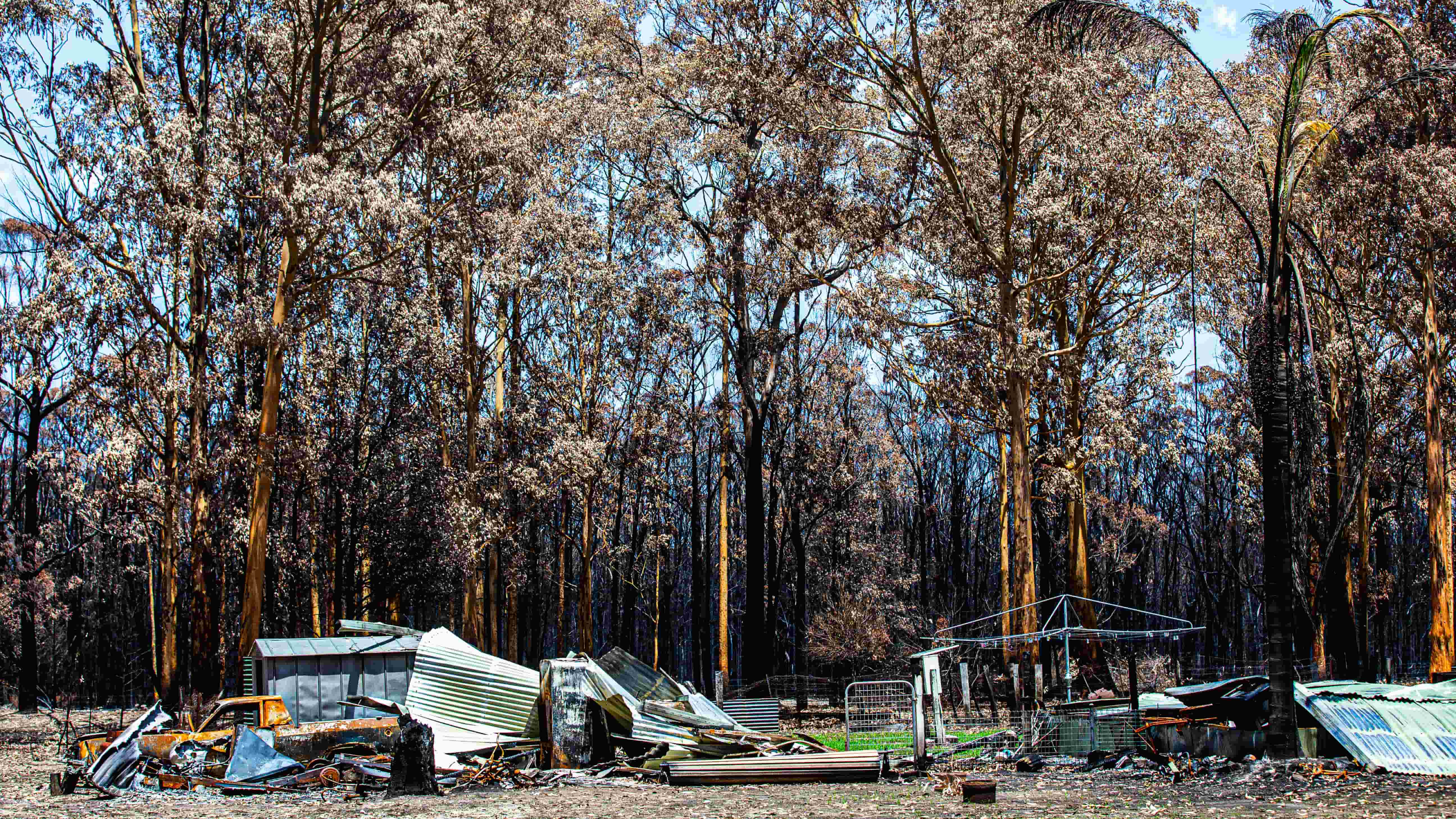 The remains of a burnt house on the NSW South Coast, with charred bush in the background. Photo: Paul Jones