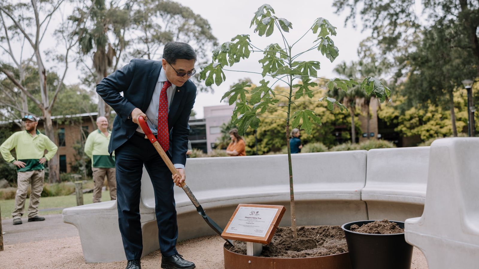 UOW Vice-Chancellor and President Professor G.Q. Max Lu holds a shovel while planting a Illawarra Flame tree in front of a plaque, surrounded by seating at UOW Ƶapp. Credit: Michael Gray