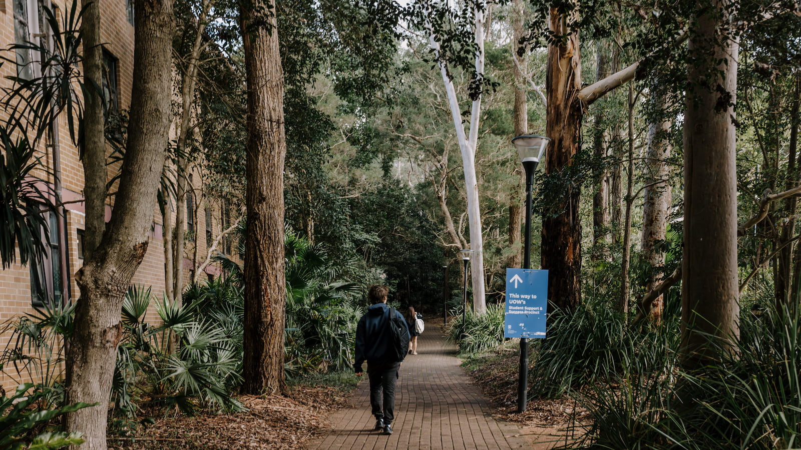 A student walks along a path on Wollongong Campus. He is surrounded by trees and has a backpack. Photo: Michael Gray