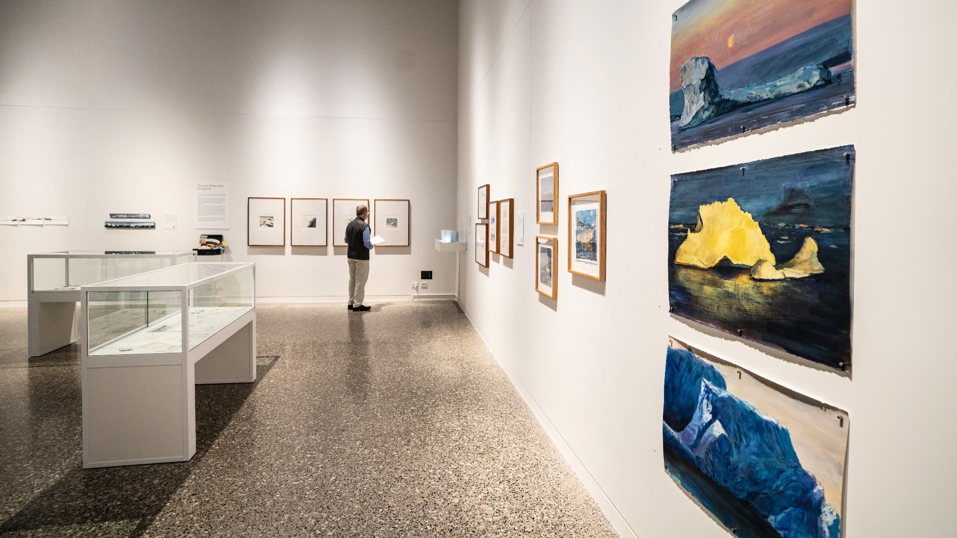 A man looks at the artwork on the wall of the Antarctic Futures Exhibition. Photo: Paul Jones