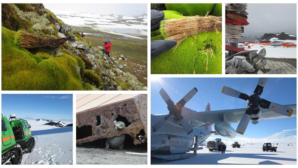 Photos of Antarctica by Dr Melinda Waterman.