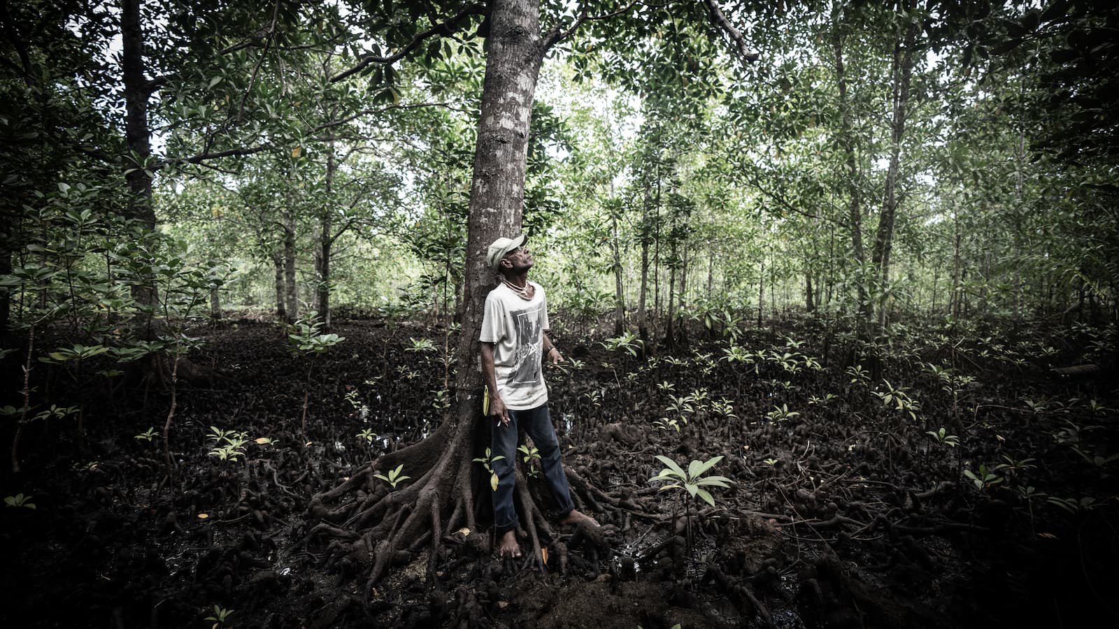 A man stands among a crop of mangroves in the Solomon Islands, staring up into the sky. Photo: Paul Jones