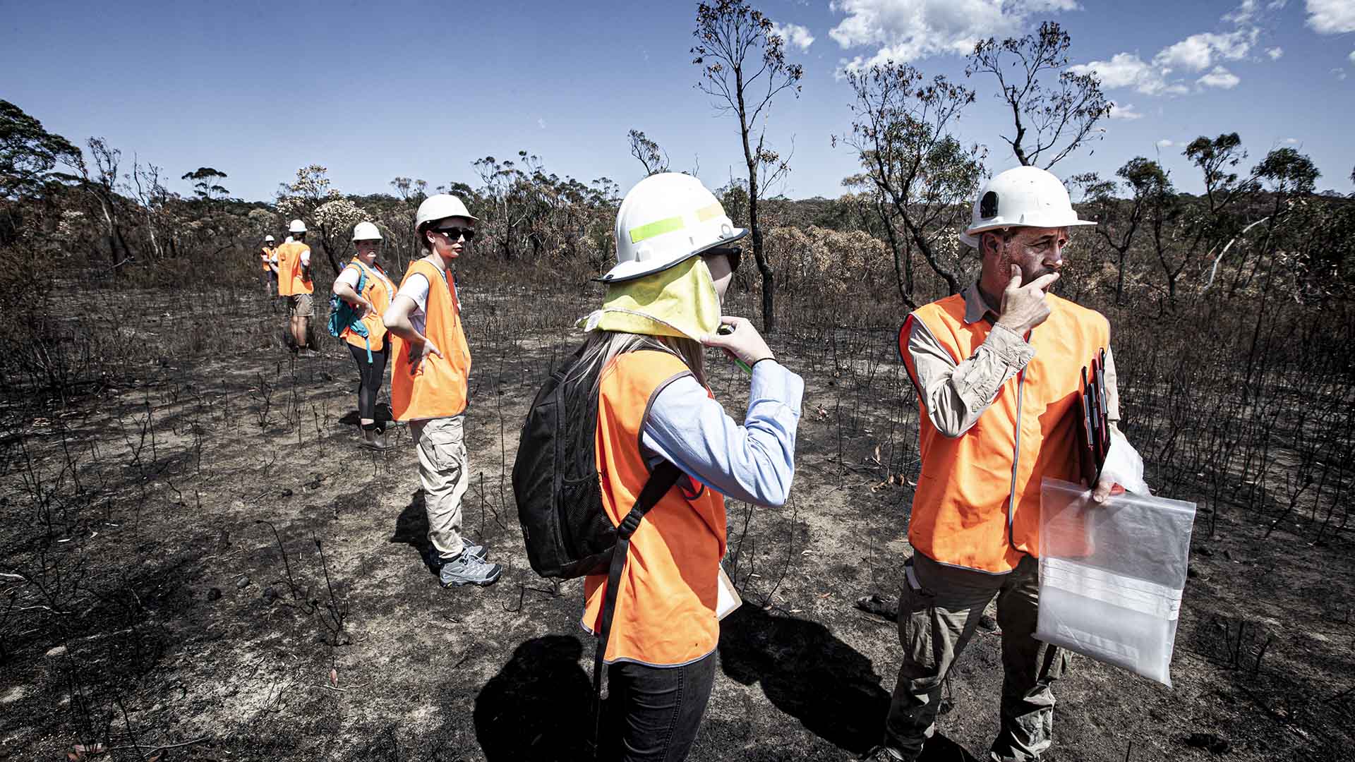 Owen Price and bushfire researchers in the field after the Black Summer bushfires
