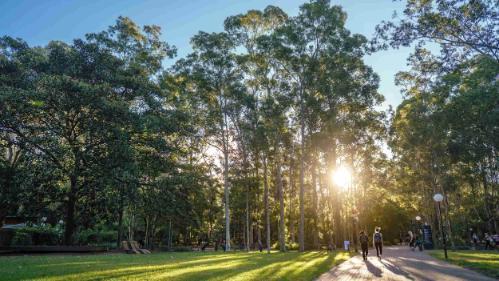 Students walk on a path through trees on Wollongong