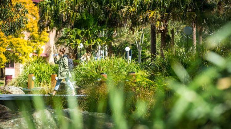 Student walking through Wollongong Campus gardens