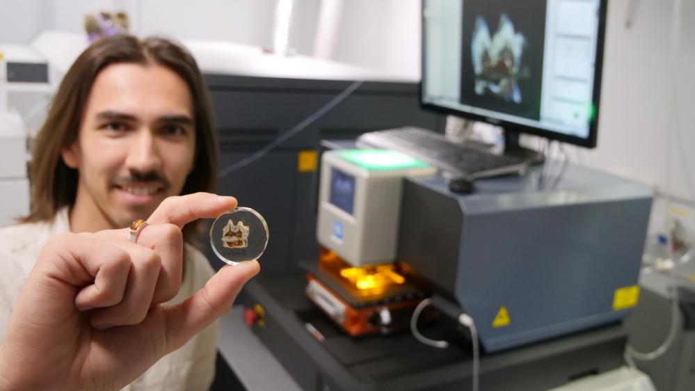 A man sitting in front of a computer holds us a small fossilised tooth. Photo: Chris Laurikainen Gaete