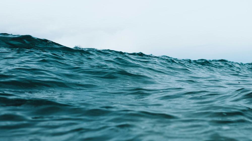 Waves in the ocean