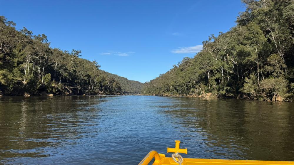 Looking out at the Nepean River from the vantage point of a yellow barge. Photo: Tim Cohen