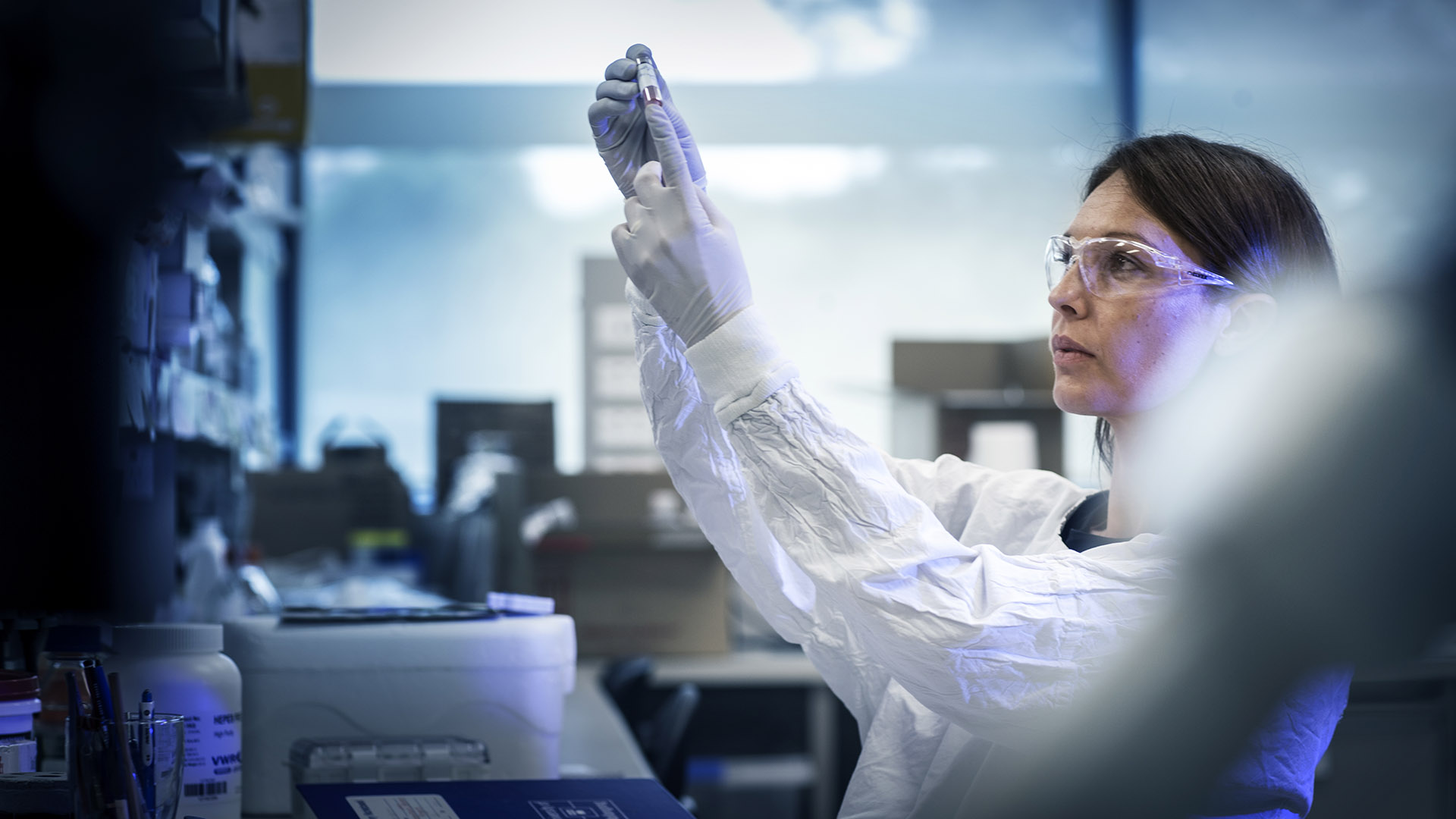 Associate Professor Kara Vine-Perrow in the lab.