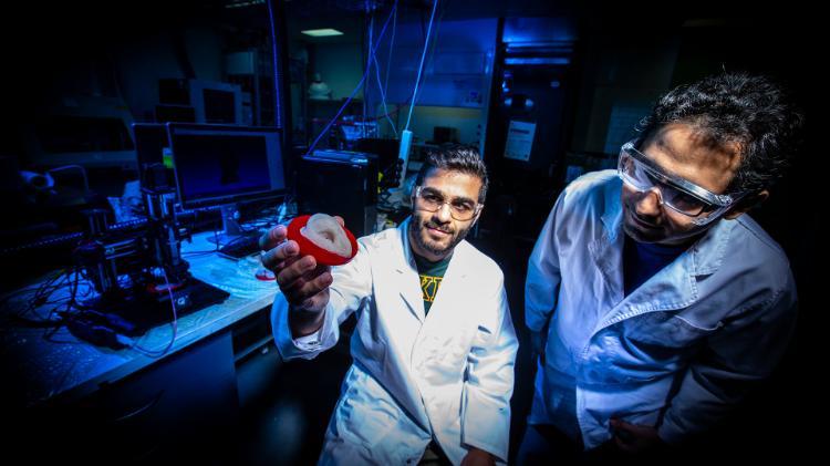 IPRI researchers Sepehr Talebian and Dr Sepidar Sayyar with a silicon ear made by a 3D Genii bioprinter at UOW’s Translational Research Initiative for Cellular Engineering and Printing (TRICEP)