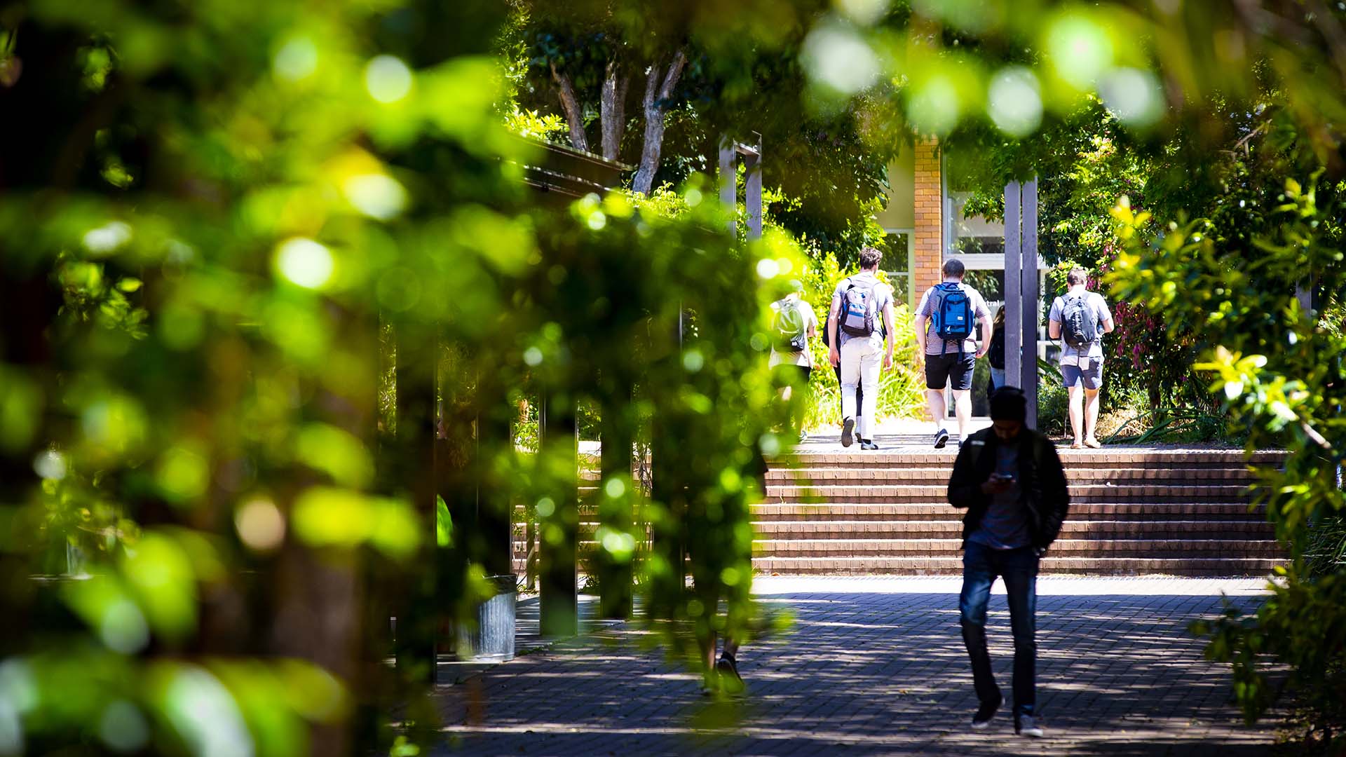Students walking around campus