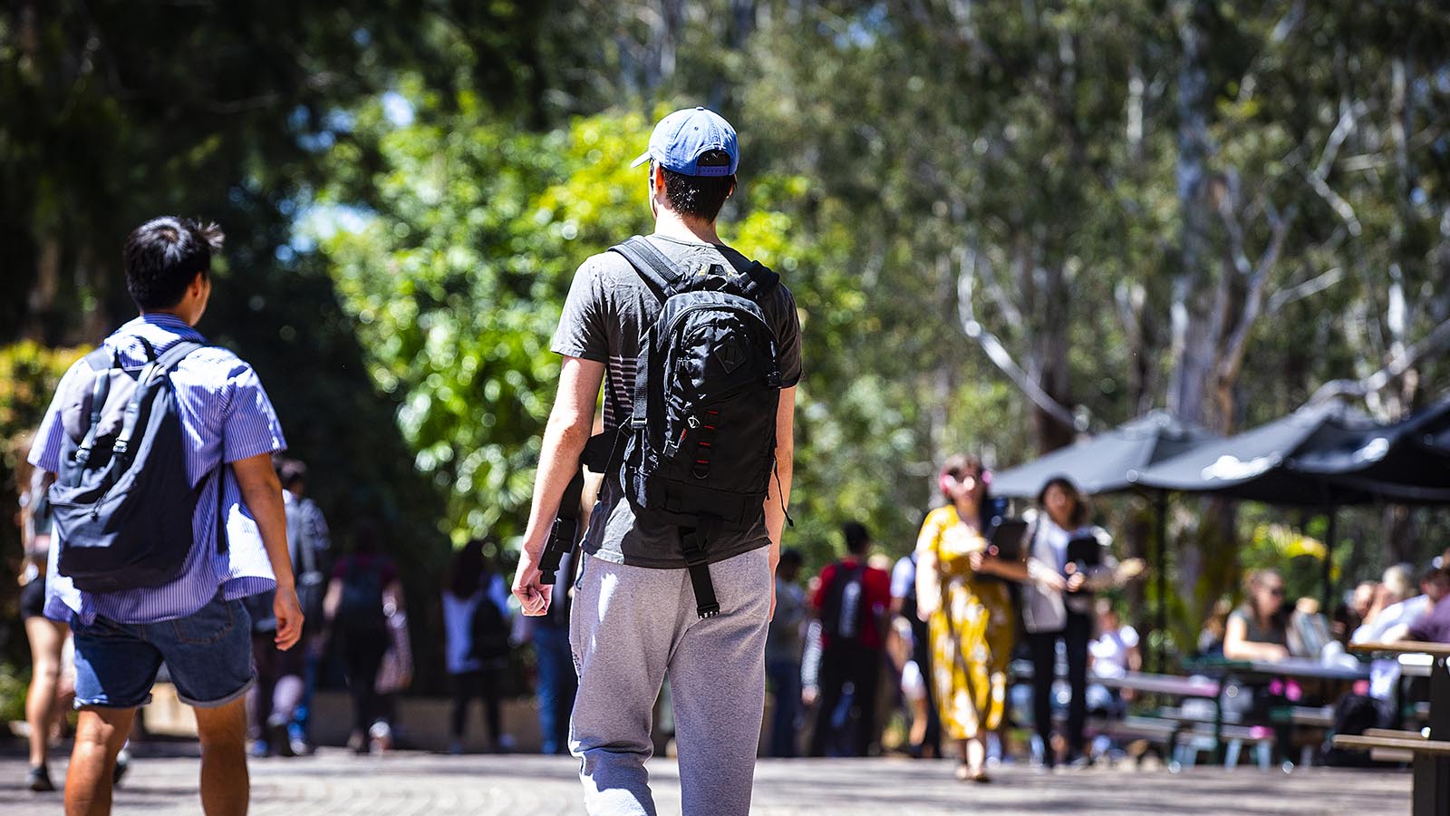 Students walking on UOW