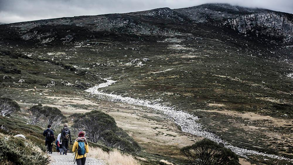 Bushwalkers in Kosciusko National Park
