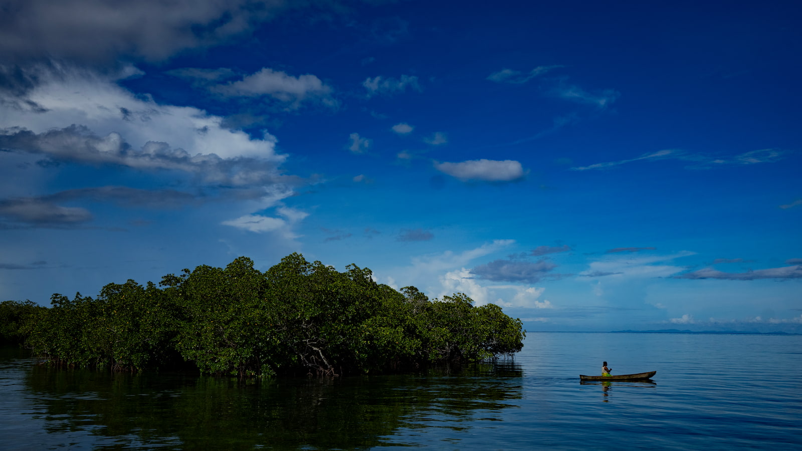 A person in a boat on the ocean glides past a crop of mangroves in the Solomon Islands. Photo: Paul Jones