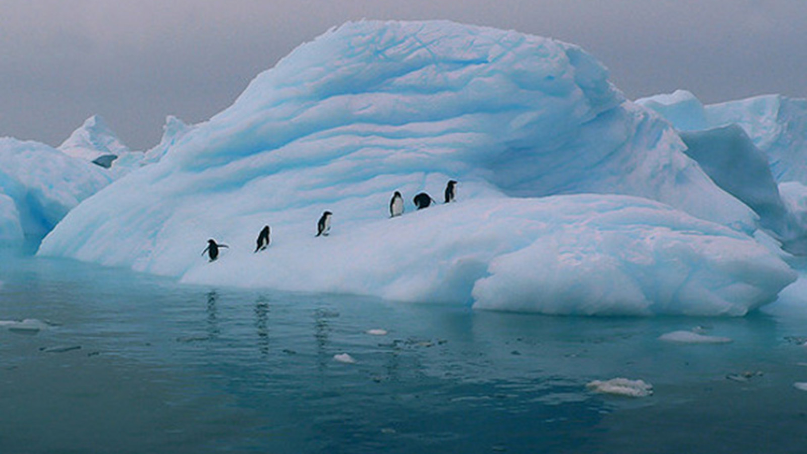 The effect of the ozone hole on weather patterns is most pronounced in summer. Photo: Vassil Tzvetanov | CC