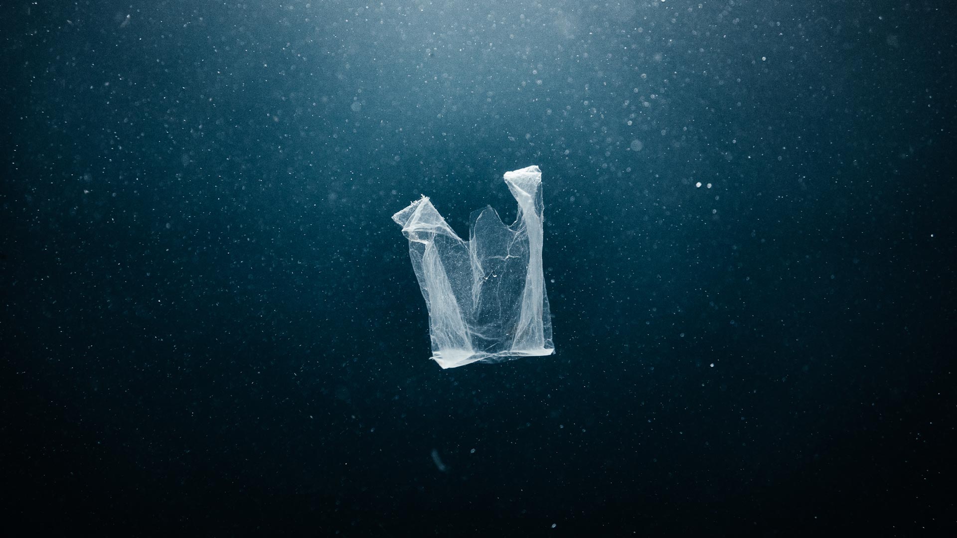A plastic bag in the ocean. Photo: Aristo Risi