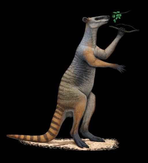 An illustration of a giant kangaroo. Photo: Scott Hocknull