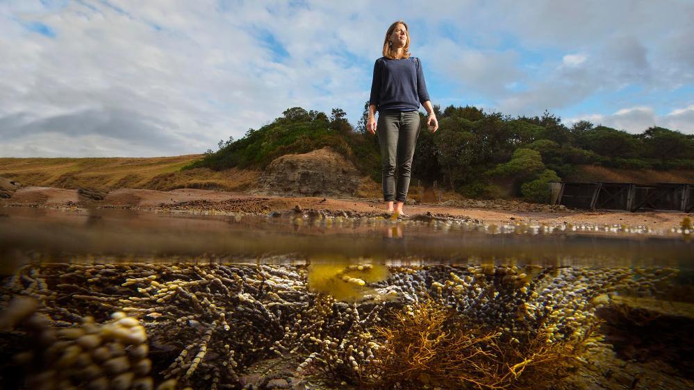 Dr Sarah Hamylton, Associate Professor School of Earth, Atmospheric and Life Sciences, Faculty of Science, Medicine and Health
