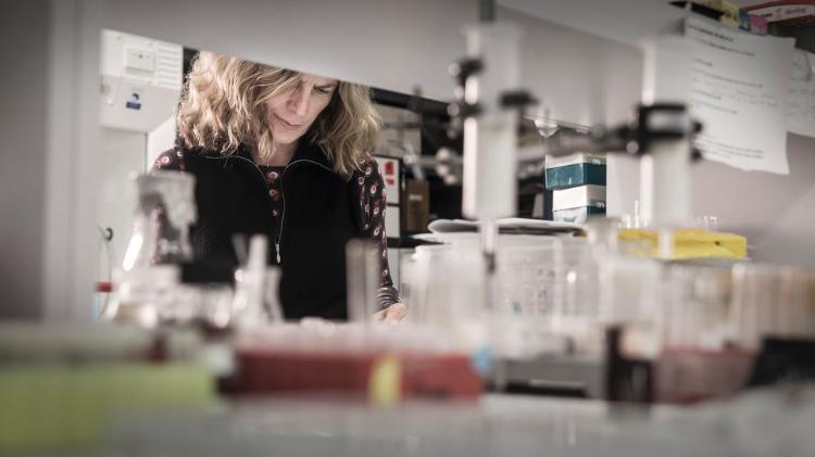 Senior Professor Sharon Robinson in the lab.