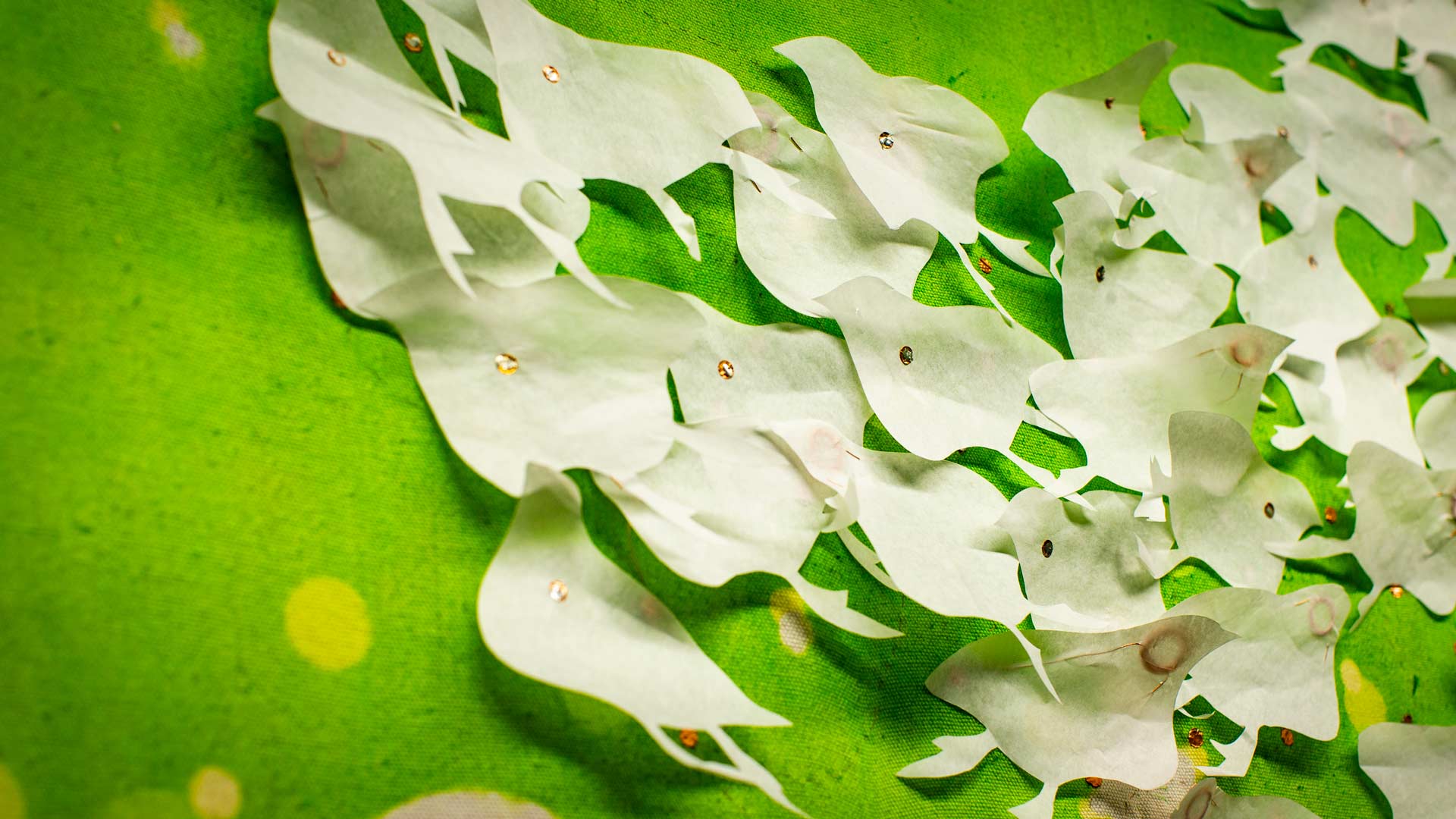 The Spinning World art exhibition was launched at UOW Library. Photo: Paul Jones