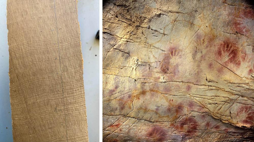 left: 5. Rings on a slice of the Ngāwhā log. Photo: Jonathan Palmer. Right: 6. Red ochre – which may have been used as an ancient form of sunscreen – is a common cave art motif. The centre of this cave art from Spain is believed to be almost 42,000 years old. Photo: Paul Pettitt, courtesy Gobierno de Cantabria.