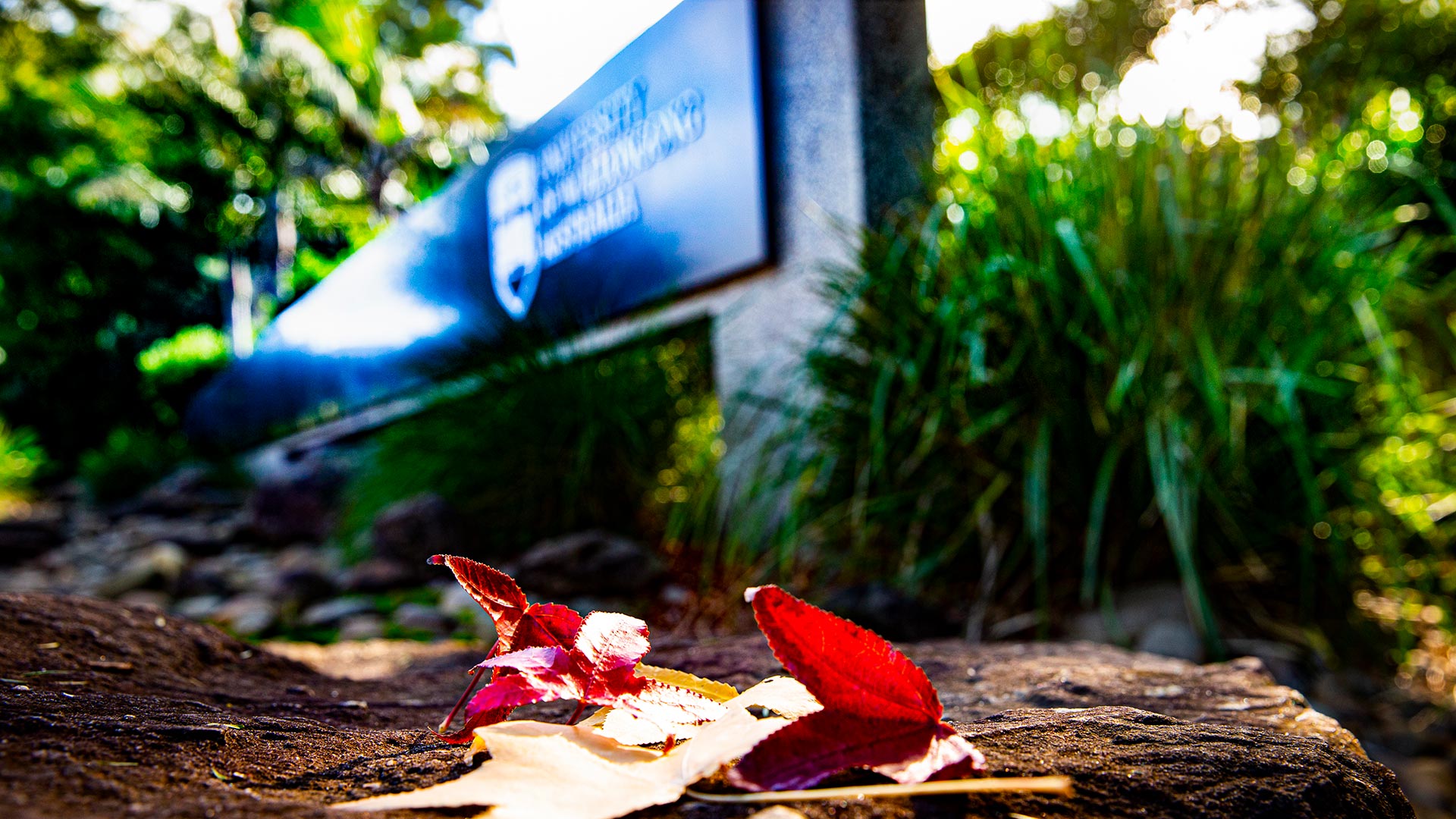Front gate logo sign with Autumn leaves