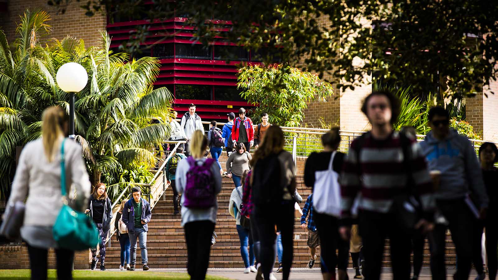 Students walking to classes on UOW
