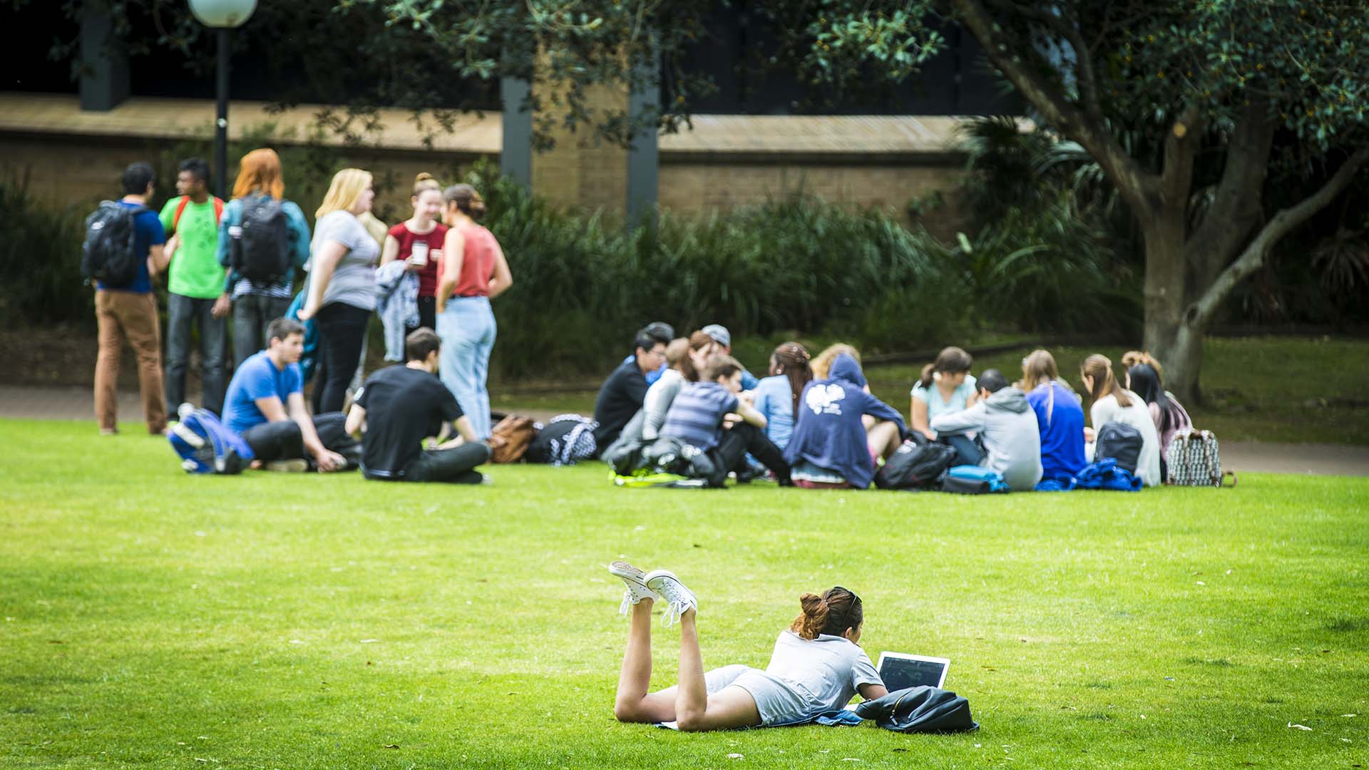 Students on the duck pond lawn on a sunny day