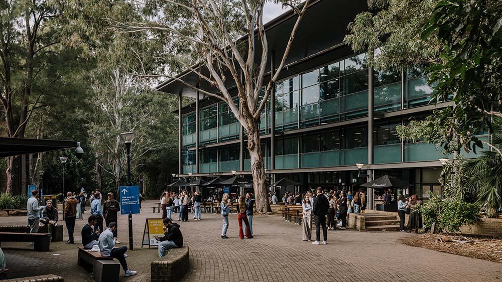 UOW students mingle outside the Library