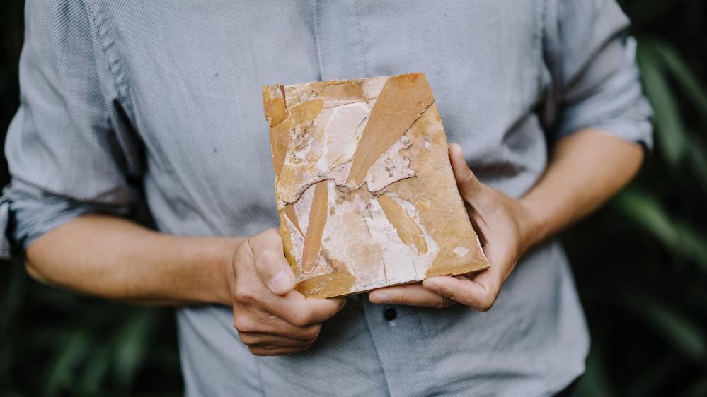 A close up of a rock sample, held by Professor Guang Shi. Photo: Michael Gray