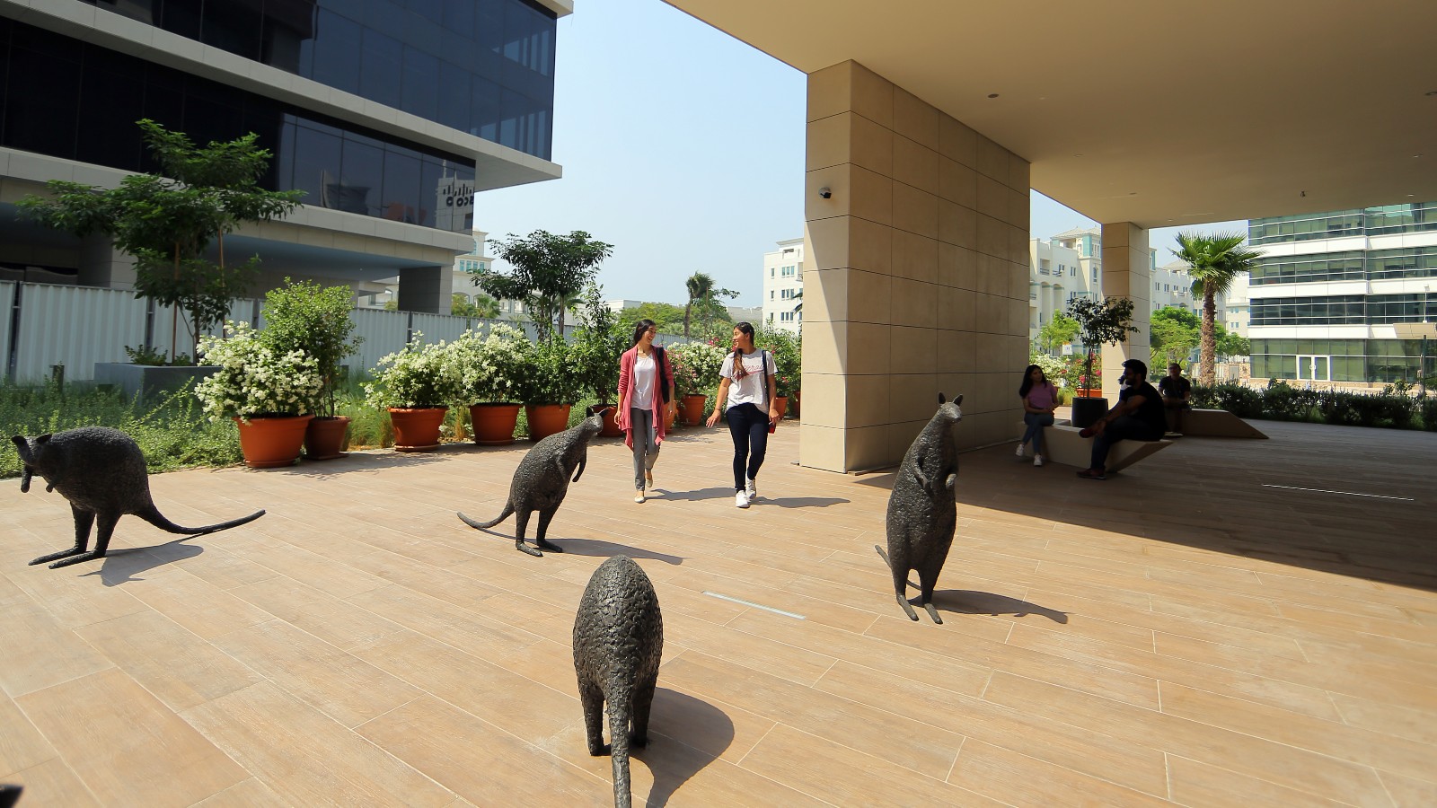 Bronze Wallaby Sculptures at UOW Dubai campus.