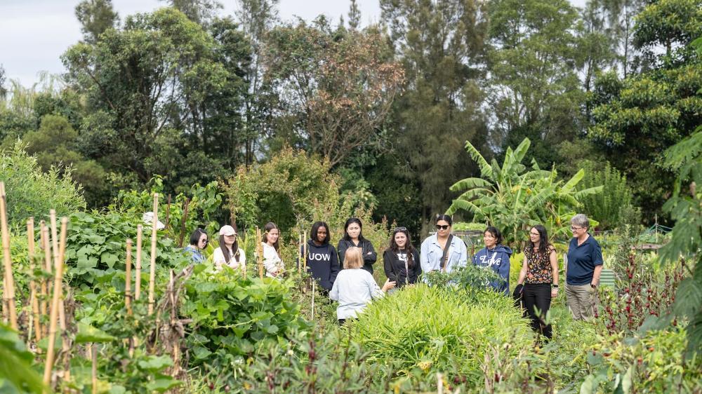 Social workers in the garden at Dapto Community Farm. Photo: Paul Jones