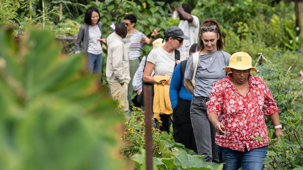 A group of social work students in the garden at Dapto Community Farm. Photo: Paul Jones