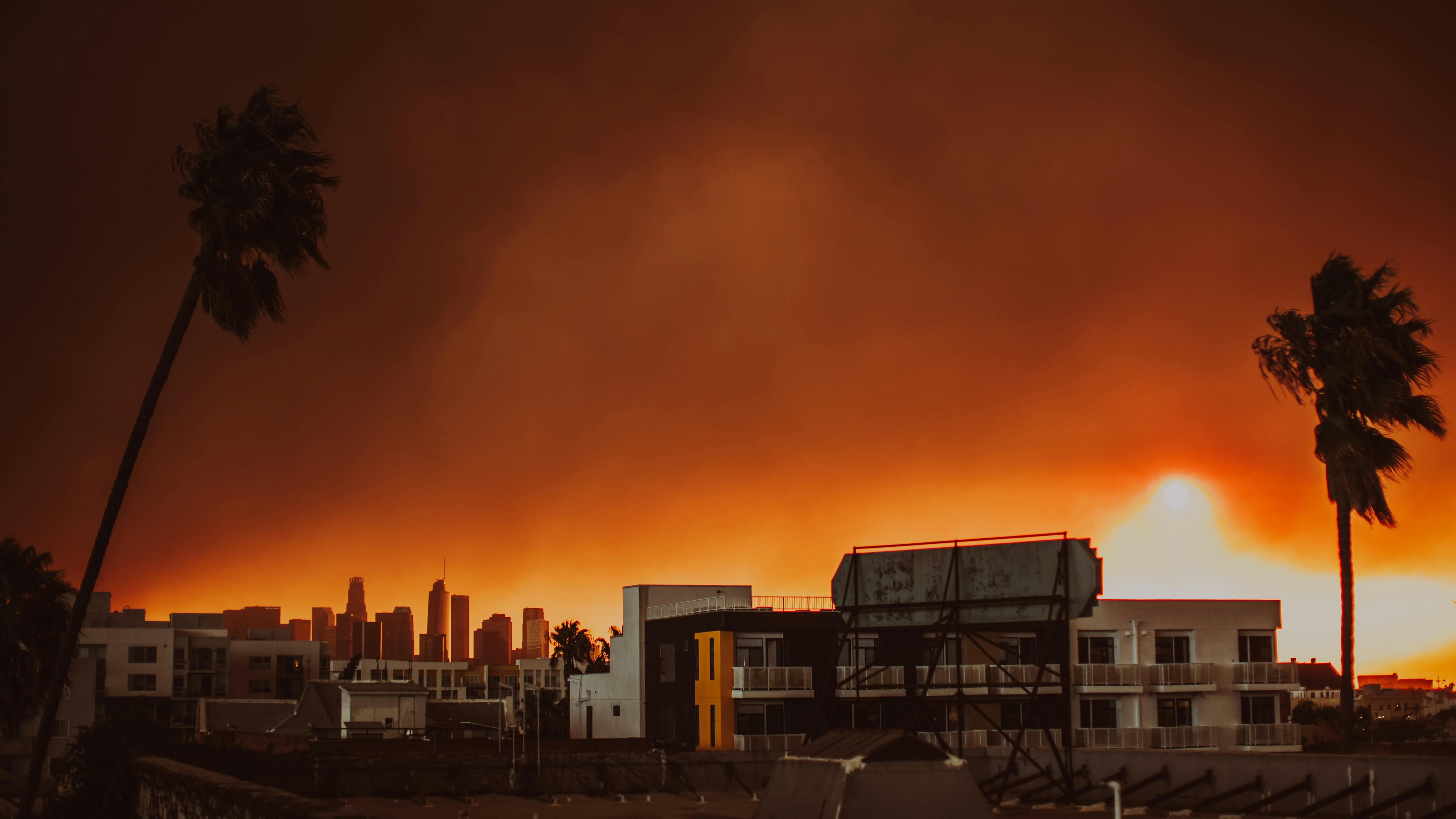 A view of Los Angeles during the January 2025 wildfires. Palm trees and the city are silhouetted against a bright orange backdrop. Photo: Jessica Christian, Unsplash