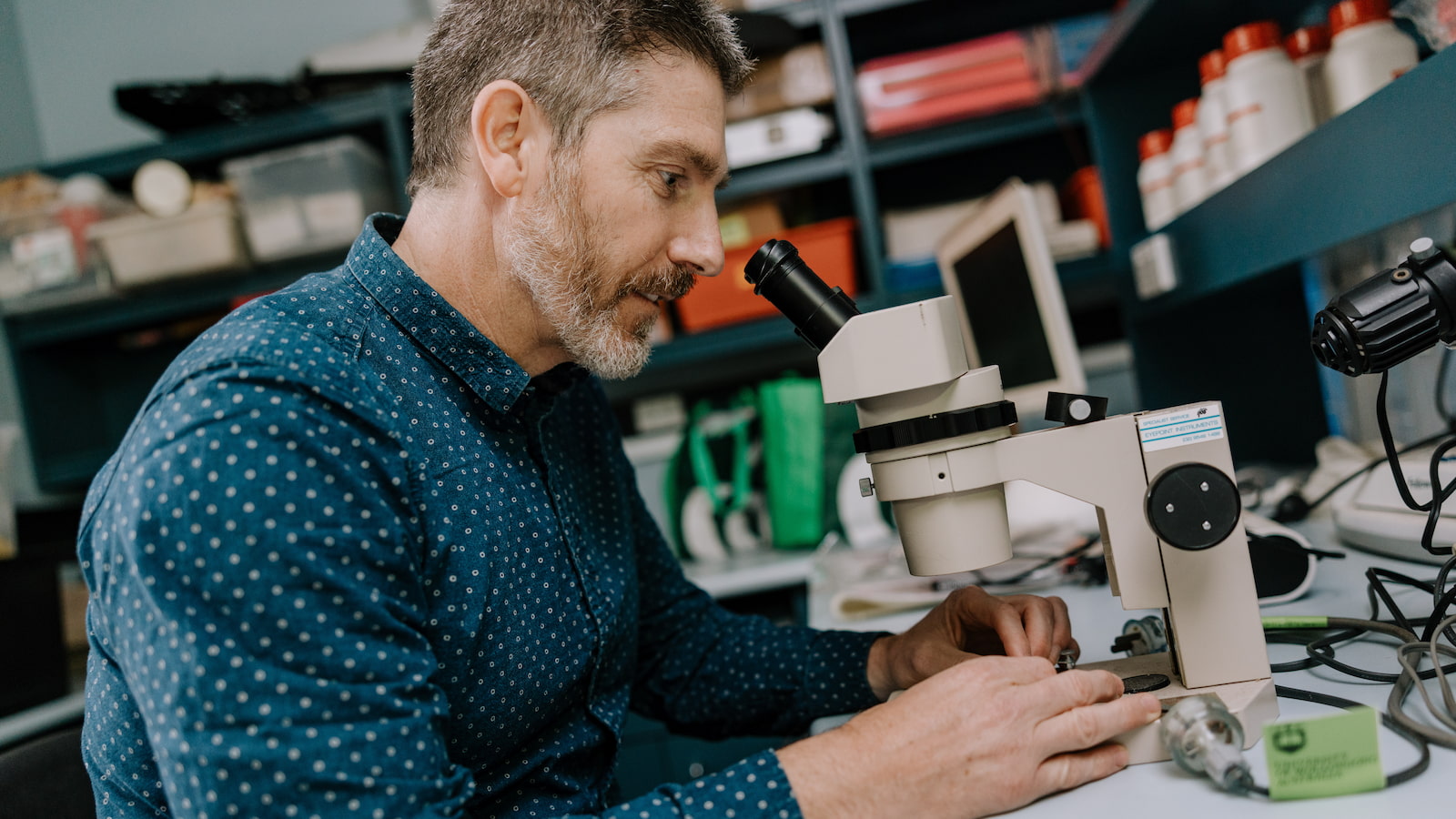 A man sits at a microscope, looking through the lens, in a science lab. Photo: Michael Gray